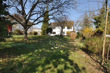 Ansicht / Garten