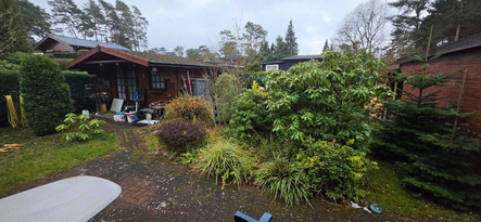 Ansicht Garten mit Gartenhaus