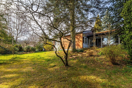 Garten_2
