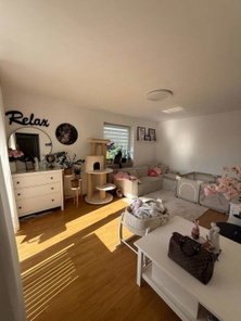 Wohnzimmer - Bild 1