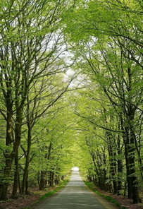 Dresdner Heide
