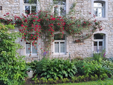 Detailansicht