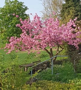 Frühlingsgrüße