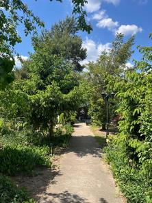 Einagng Garten.jpg