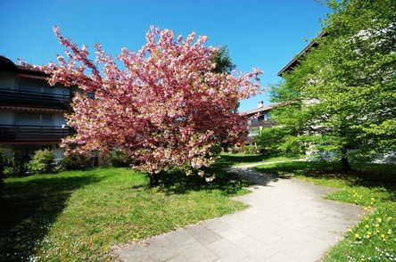 Eingangsweg