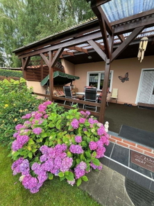 Blick auf die Terrasse