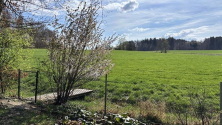 Blick Starnberg