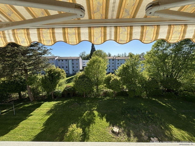 Blick ins Grüne