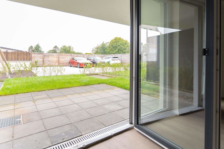 Blick zur Terrasse.jpg