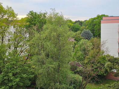 Ausblick