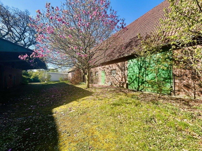 Hausansicht hinten