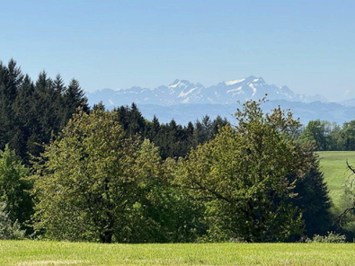 Bild1