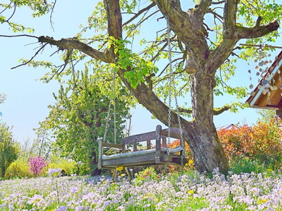 Märchen-Garten