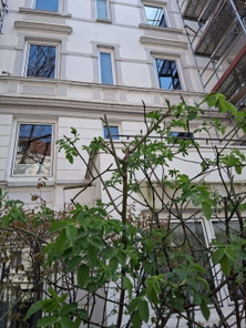 1 Obergeschoss - Mini Dachterrasse , ca.5,5 m2