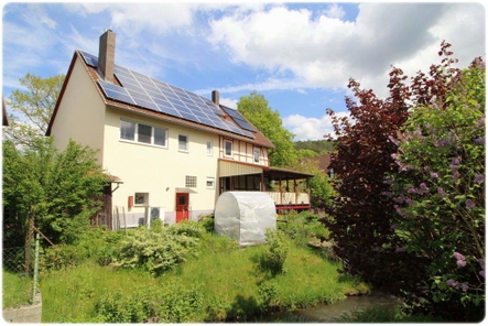 Bild1