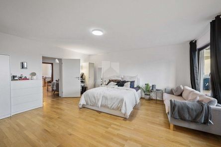 Zimmer1