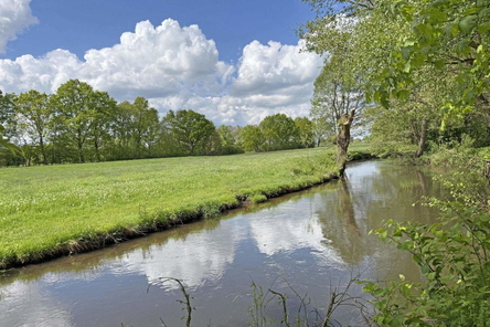 Luheufer