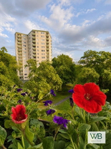 Aussicht vom Balkon