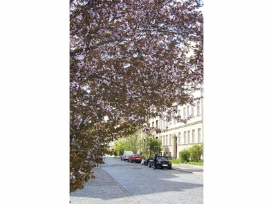 Ansicht1