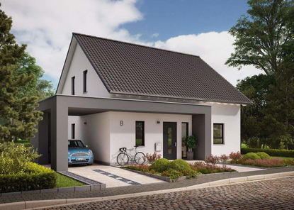 LS 14.01 S Haustüransicht