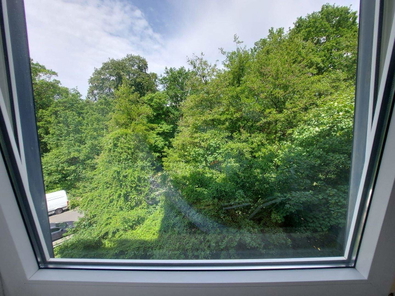 Fernblick