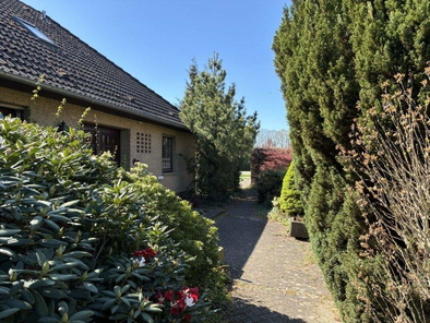 seitliche Ansicht