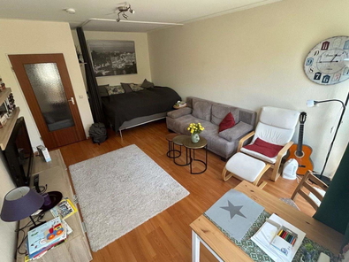 Zimmer I