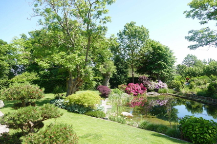 Garten mit großem Schwimmteich