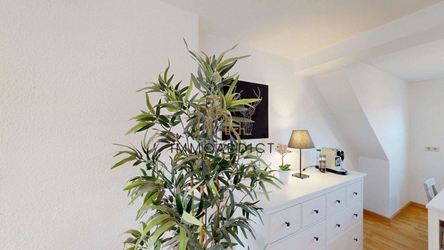 Waldstrae-13403-08302025_223903