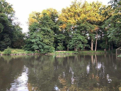 Wohnen am Röhrensee