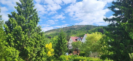 20250526_101209.jpg