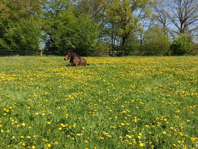 IMG-20260425-WA0008.jpg