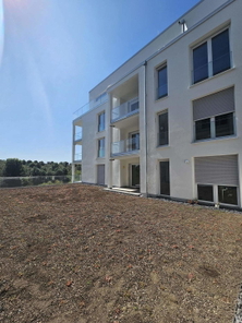 Haus
