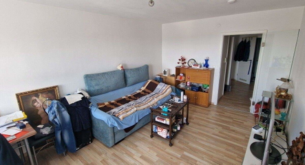 Wohnraum mit Laminatboden
