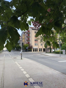 Umgebung