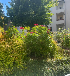 Balkon-Ausblick.png