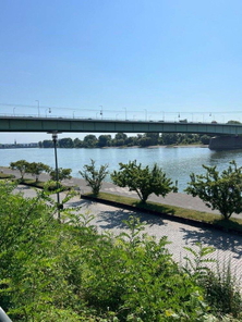 Der Rhein (5)