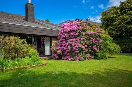 Gartenparadies