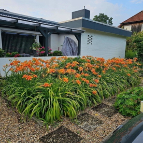 Blick auf die Terrasse