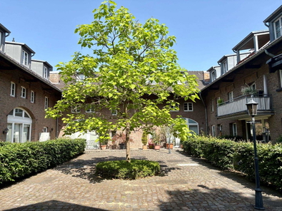 Innenhof