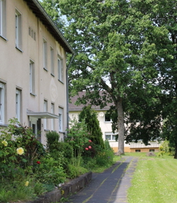 2 - Kopie.JPG