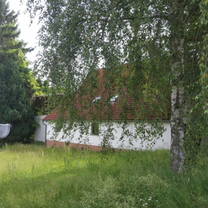 20260605_092337.jpg