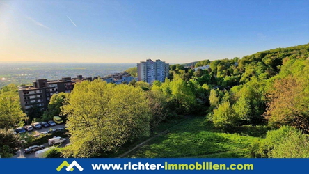 Ausblick ins Grüne