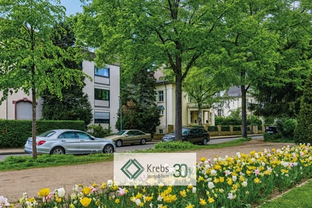 Branding Portale neu