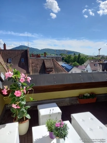 Aussicht auf den Schönberg