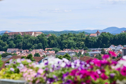 Blick über Tübingen