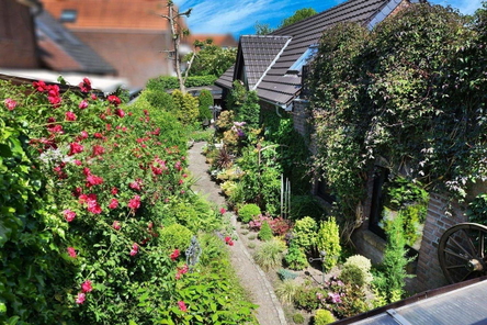 Blick über Garten EG