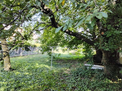 Bauplatz/ Garten hinter Scheune