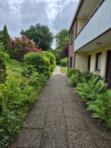 Zugang zum Haus