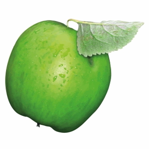 170705_immobilien_und_handwerk_logo_APFEL_v01-01.jpg